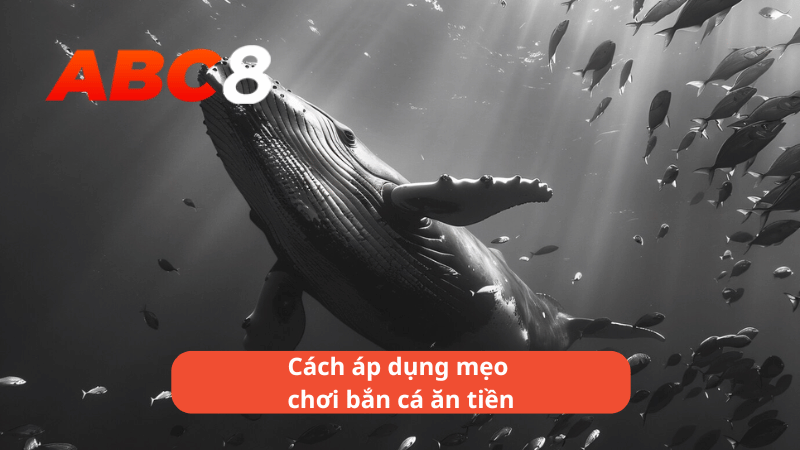 Cách áp dụng mẹo chơi bắn cá ăn tiền tại ABC8