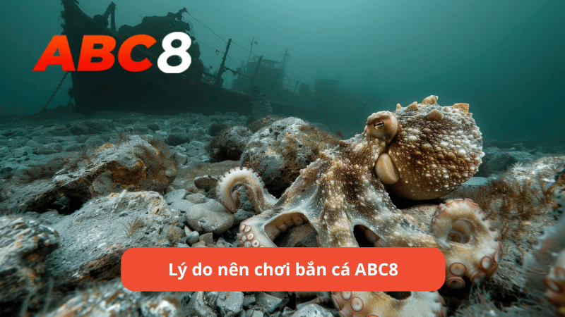 Lý do nên chơi bắn cá ABC8