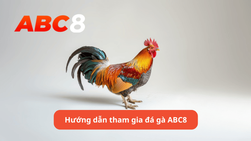 Hướng dẫn tham gia đá gà ABC8