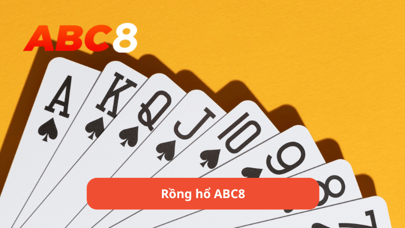 rồng hổ ABC8